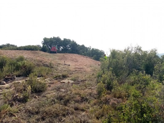 Red Eléctrica empieza a ejecutar la nueva línea de muy alta tensión Morella-La Plana