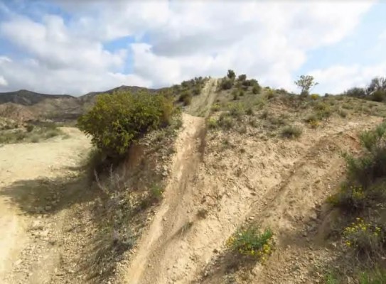 Amigos de los Humedales critica que Elche permitiera la carrera de mountain bike y pide el catálogo de caminos