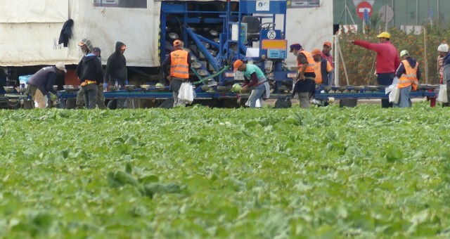 El Miteco invertirá 20 millones en el Campo de Cartagena para evitar la llegada de nitratos al acuífero