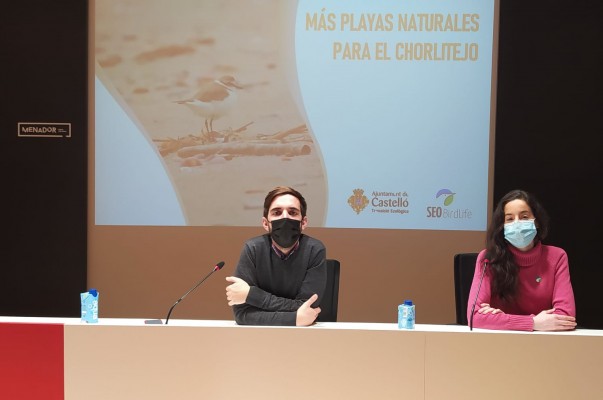 Castelló y SEO Bird Life promueven buenas prácticas para proteger al chorlitejo