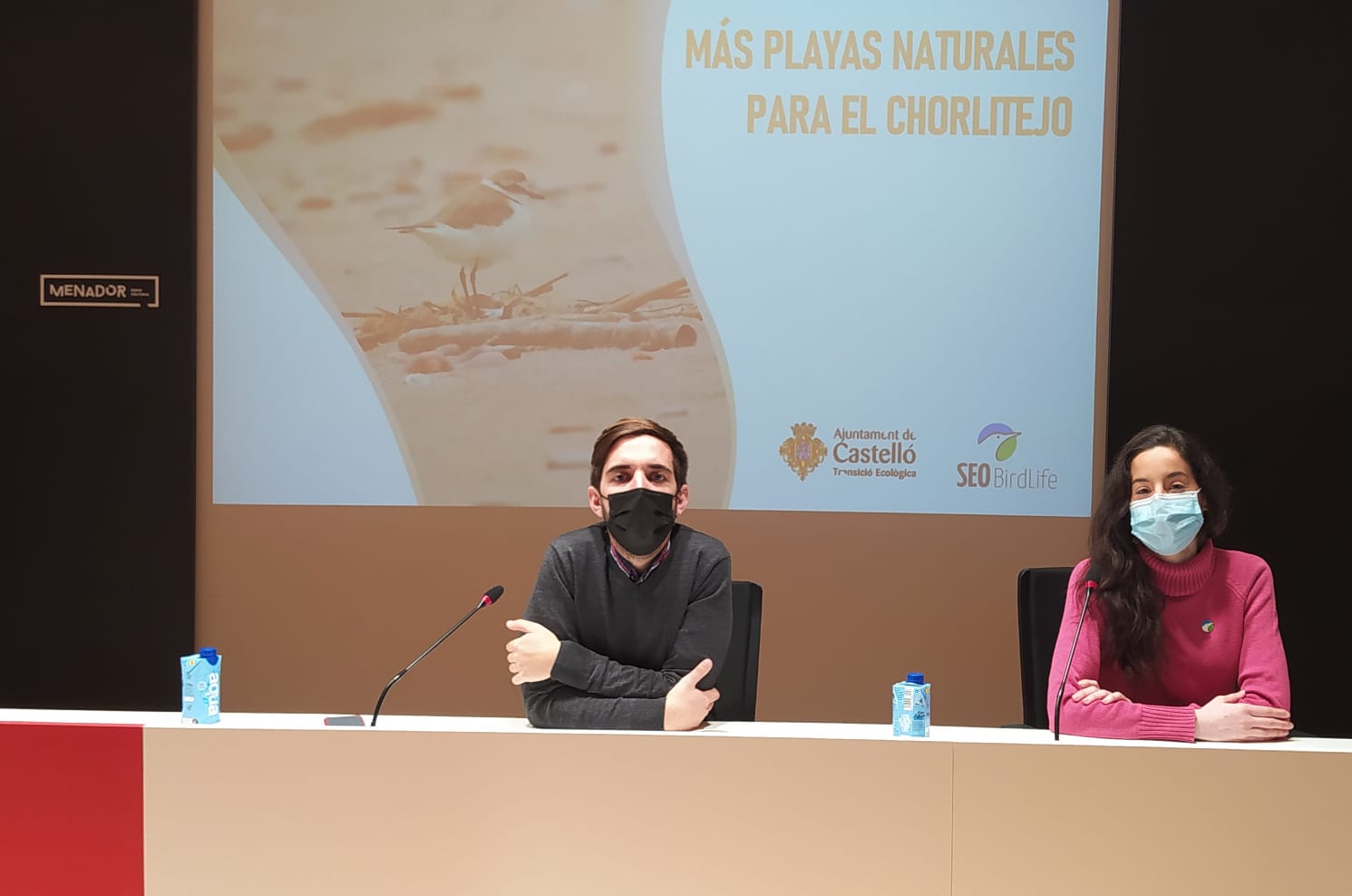 Castelló y SEO Bird Life promueven buenas prácticas para proteger al chorlitejo