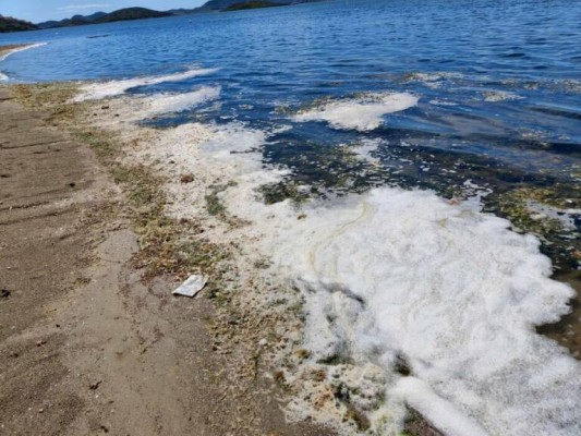 Las banderas negras de Ecologistas en Acción vuelven a ondear en el Mar Menor y en la Bahía de Portmán