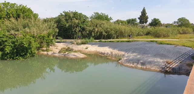 Quart de Poblet pone en marcha la replantación autóctona de su parte del Parc Natural del Túria