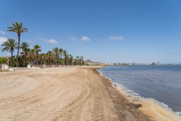 El Mar Menor presenta niveles de oxígeno 