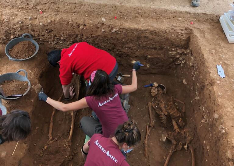 Castelló enfila la quinta campaña de exhumaciones para identificar otras seis víctimas del franquismo