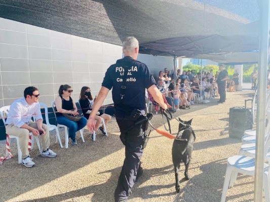 Más de un centenar de mascotas buscan una nueva familia en el VII Festival de la Adopción de Castelló