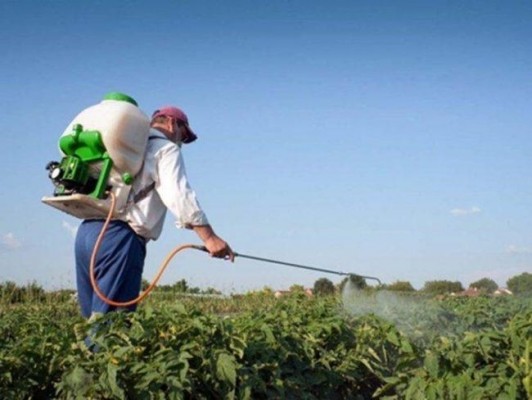 La Unión Europea exigirá fitosanitarios con estándar europeo  a las importaciones agrícolas