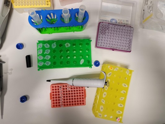La UMU patenta un nuevo método para cuantificar la 