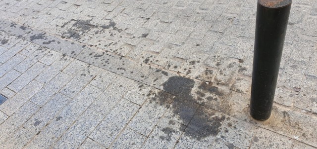 El PP solicita un plan de limpieza extraordinario y urgente durante el verano en San Vicente