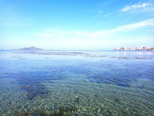 El Supremo niega una indemnización para un puerto del Mar Menor por la 'sopa verde'