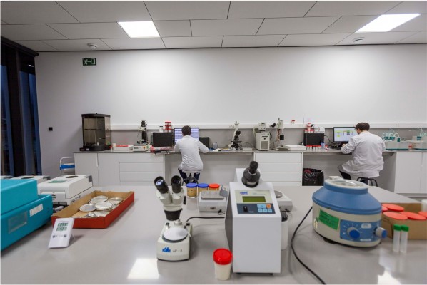 El premio Fundación Vicky Foods a la investigación en Nutrición y Salud lanza su II edición