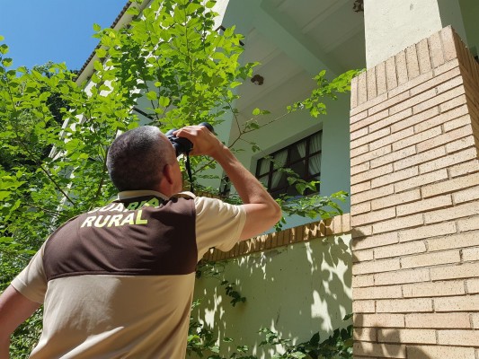 Desciende el número de nidos de aviones comunes en el Termet de Vila-real