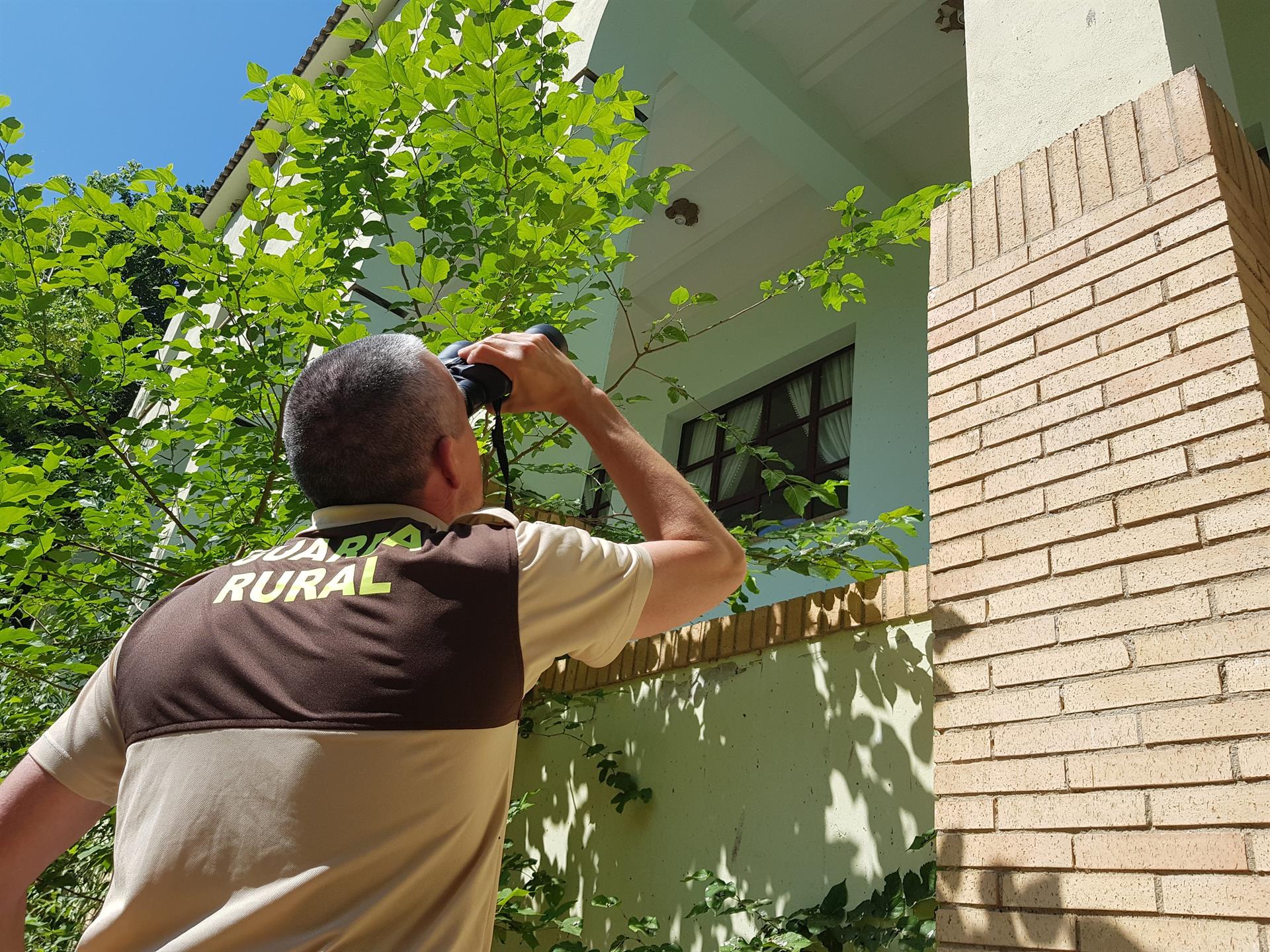 Desciende el número de nidos de aviones comunes en el Termet de Vila-real