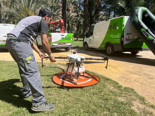 Drones, lanchas y cañones de fumigación contra los mosquitos en Orihuela
