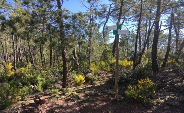 Más de 1.500 desempleados trabajarán este verano en tareas de conservación de montes con Avalem
