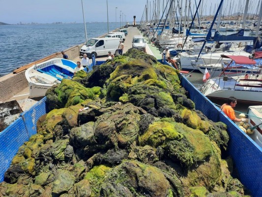 La bolsa hipóxica de cerca de dos hectáreas entre Villas Caravaning y Mar de Cristal se mantiene