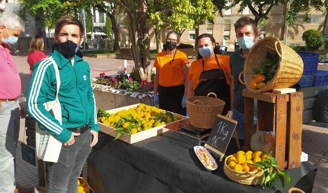 La Fira de la Taronja de Castelló tanca amb 131.000 quilos venuts, un 21% més que l'any anterior