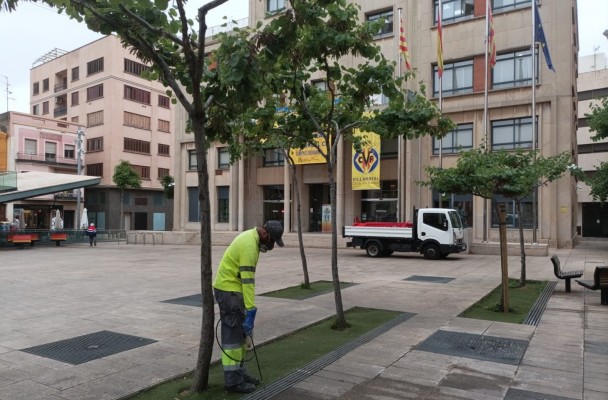Vila-real refuerza los tratamientos para evitar la proliferación de mosquitos