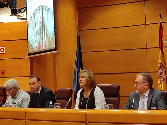José Martí reivindica en el Senado una discriminación fiscal positiva para pequeños pueblos