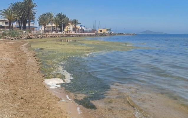 El estado del Mar Menor lastra el mercado inmobiliario: más casas y menos ventas