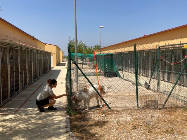 Orihuela paga a Asoka 30.000 euros y desbloqueará la deuda de 40.000 en un Pleno extraordinario