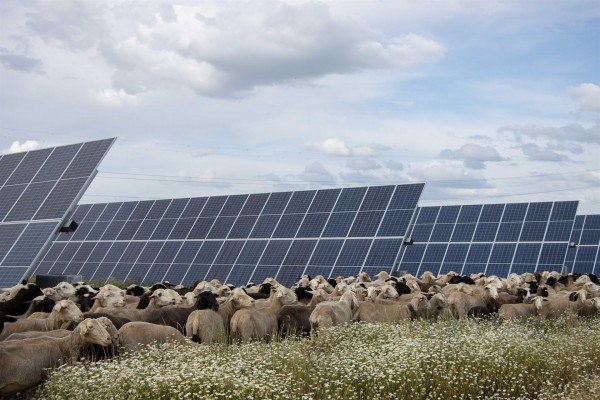 La noruega Statkraft invierte 105 millones en dos 'megaplantas' en Turís y Alborache