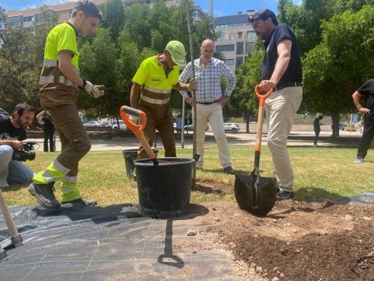 Alicante reivindica la plantación de 2.000 árboles en los dos últimos años