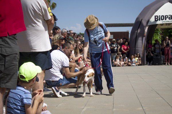 Desfile de perros AUPA-Bioparc reúne a cientos de personas comprometidas con el bienestar animal