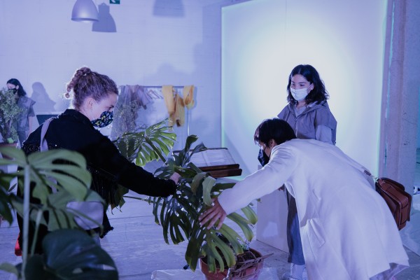 Botánica y música: cuando las plantas hacen la banda sonora