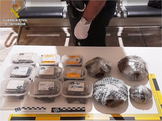 La Guardia Civil rescata 46 tortugas y cangrejos vivos en la maleta de un pasajero en el aeropuerto