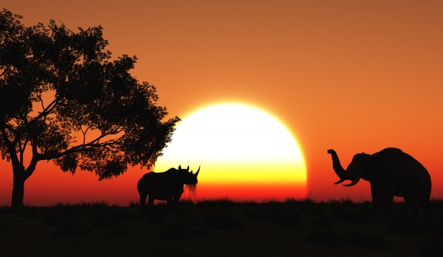 El día de África o de las múltiples Áfricas