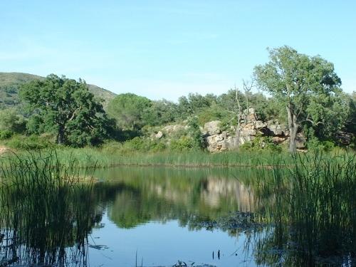El Consell incluye el Paraje de la Dehesa en el Catálogo de Montes de Utilidad Pública de Castellón