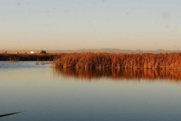 El Ayuntamiento de València aprueba la mayor inversión en l'Albufera con 1,7 millones