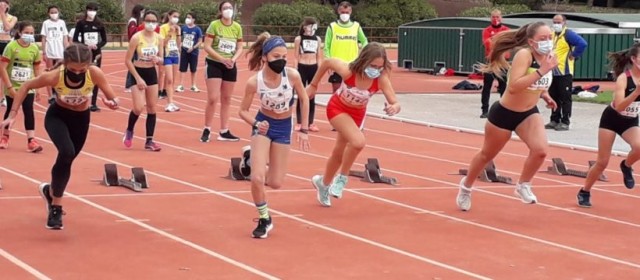 La FAMU contará en Torrevieja con 18 jóvenes en el Nacional sub-14