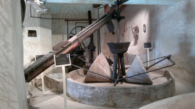 El Gil-Albert organiza una visita con cata de AOVE en el Museo del Aceite de Sant Vicent del Raspeig

