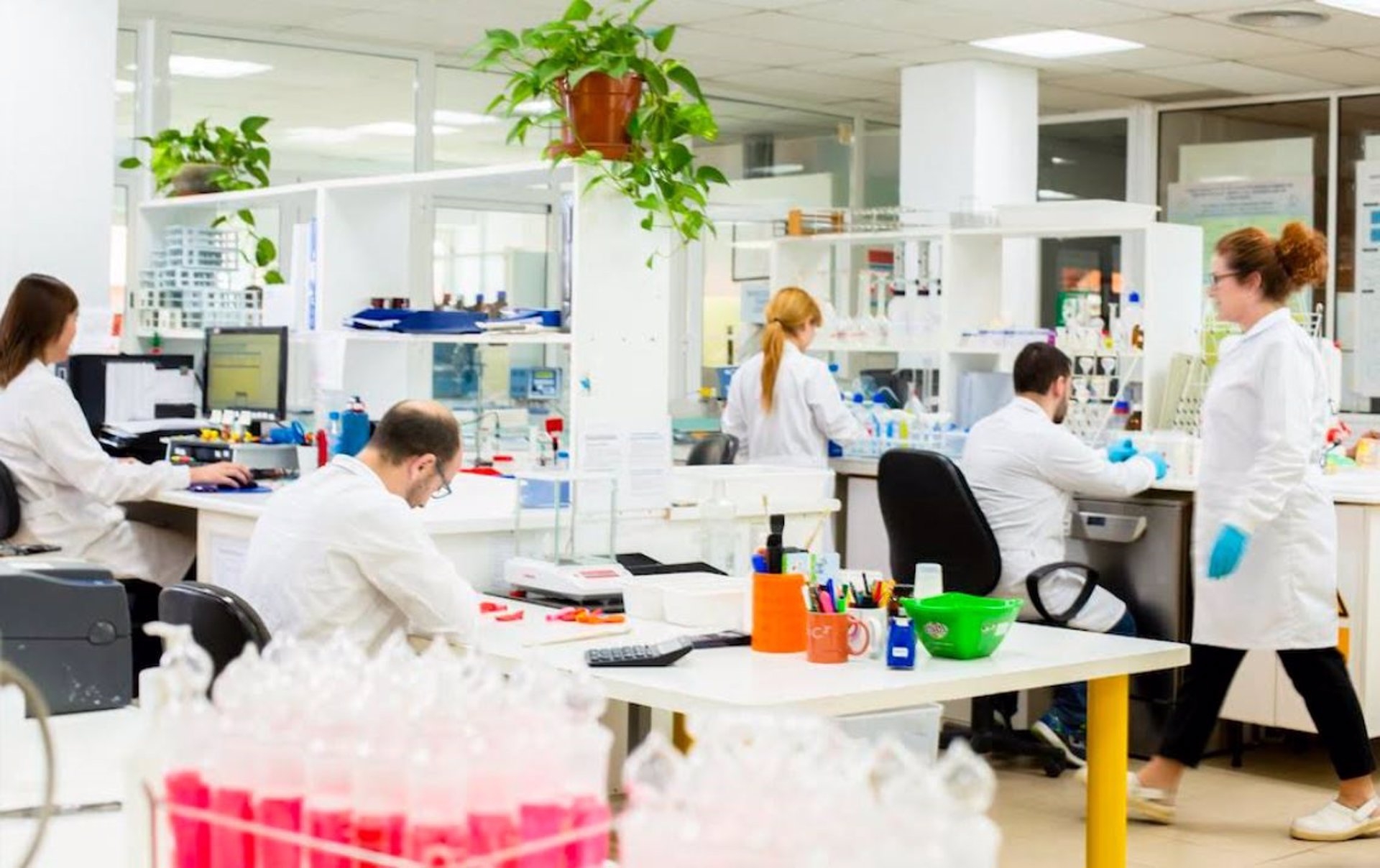 La AVI recibe más de 400 solicitudes de ayuda para proyectos estratégicos de innovación, un 11% más