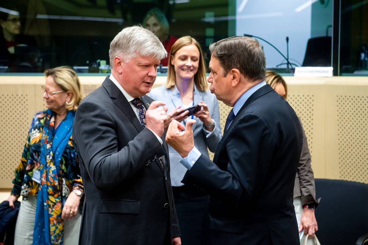 La hora de la verdad: el tratamiento en frío para la naranja sudafricana se debate hoy... ¿pero cuál?