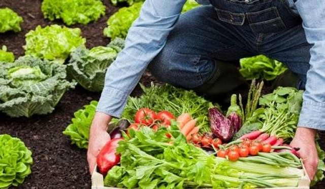 La agricultura ecológica valenciana, a 4,5 puntos de los objetivos de la Unión Europea