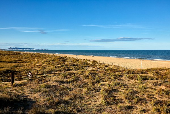 Gandia llevará a los tribunales a Costas si no cesa la extracción de arena de su playa 
