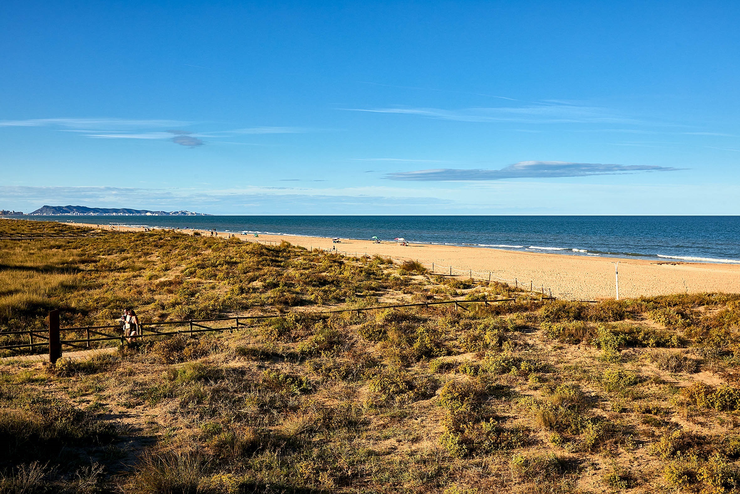 Gandia llevará a los tribunales a Costas si no cesa la extracción de arena de su playa 
