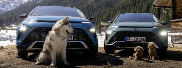El Hyundai BAYON es el compañero idóneo para los viajes con perros