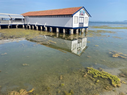 El confesionario del Mar Menor