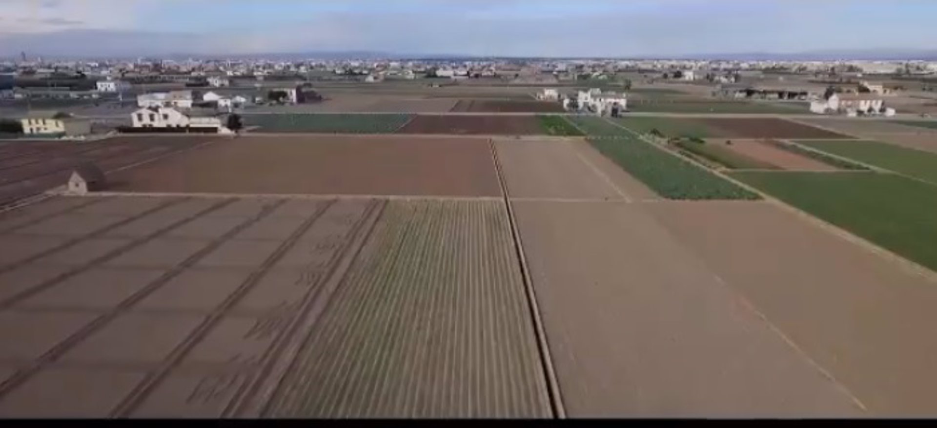 El Consell de l'Horta solicita la declaración de zona catastrófica para la huerta de València