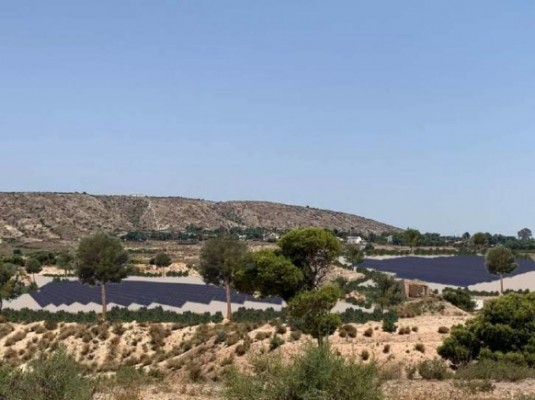 Pydesa proyecta otras dos solares en Les Salades de Elche con 7,8 MW y más de 2,5 millones de euros