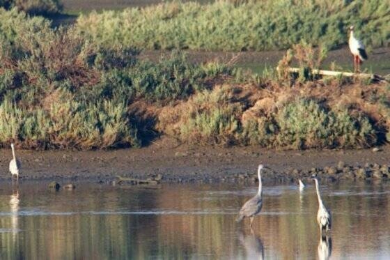 Imagen de archivo. - 