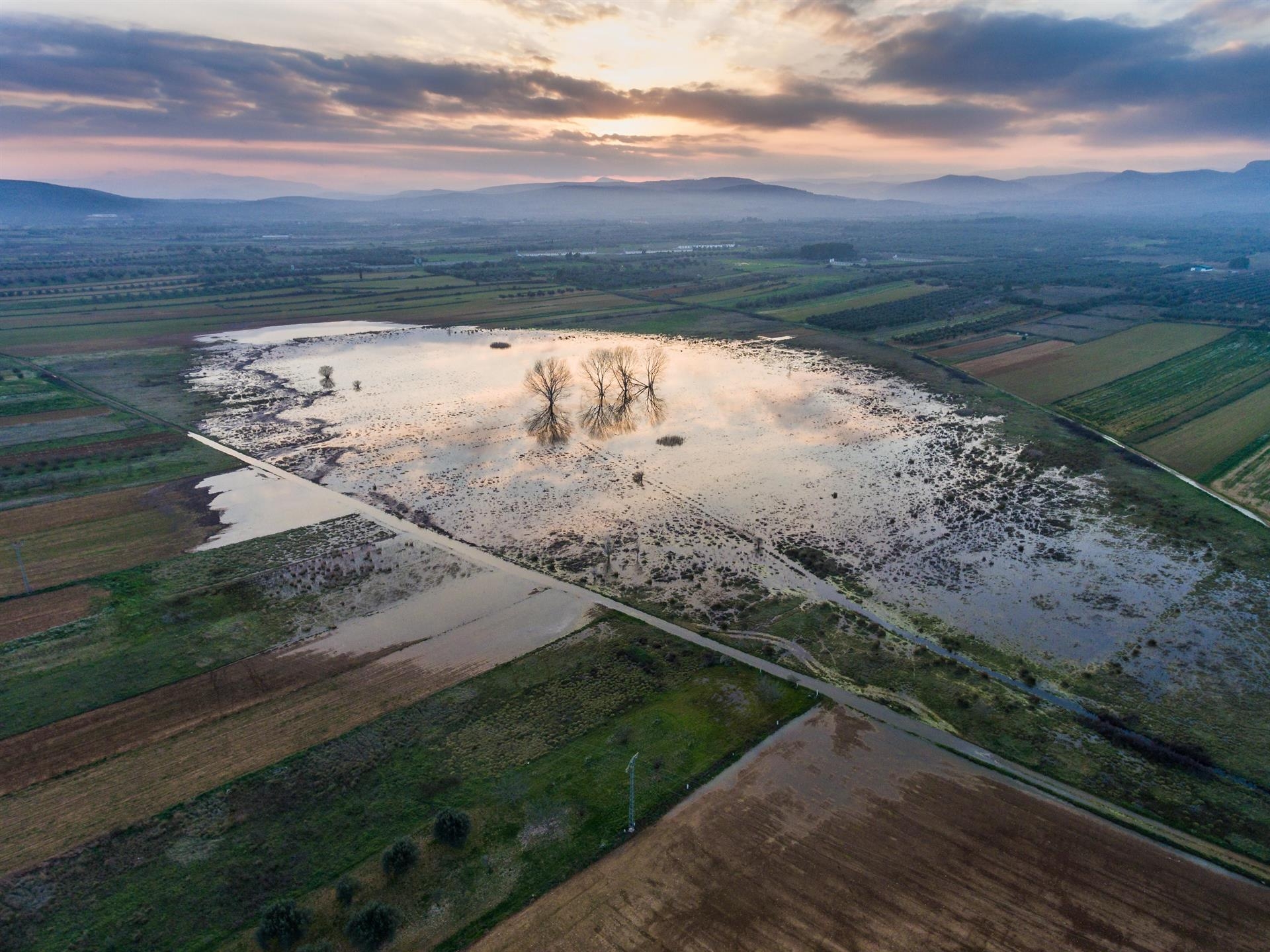 El Consell incorpora la Laguna de Sant Mateu y el Quadre de Santiago de Benicàssim al Catálogo de Zonas Húmedas