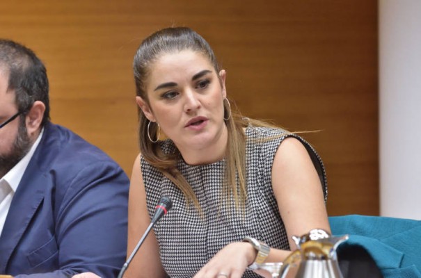 Mollà considera negligentes al dueño de los burros y al director del Parque Natural del Desert