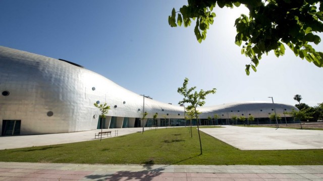 El FC Cartagena Algar Surmenor se traslada al Palacio de los Deportes