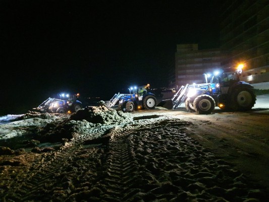 Elche refuerza la limpieza en la playa de Arenales por el incremento de la posidonia