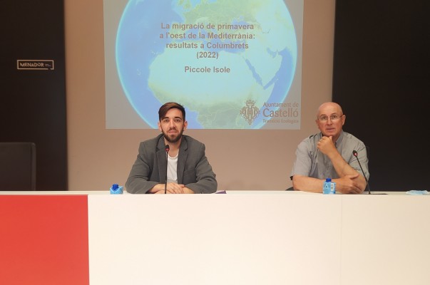 La población de aves de paso en las Columbretes cae un 35% según un estudio internacional